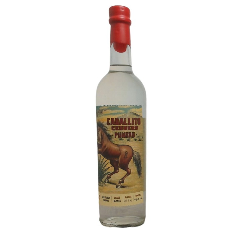 Caballito Cerrero Azul Puntas